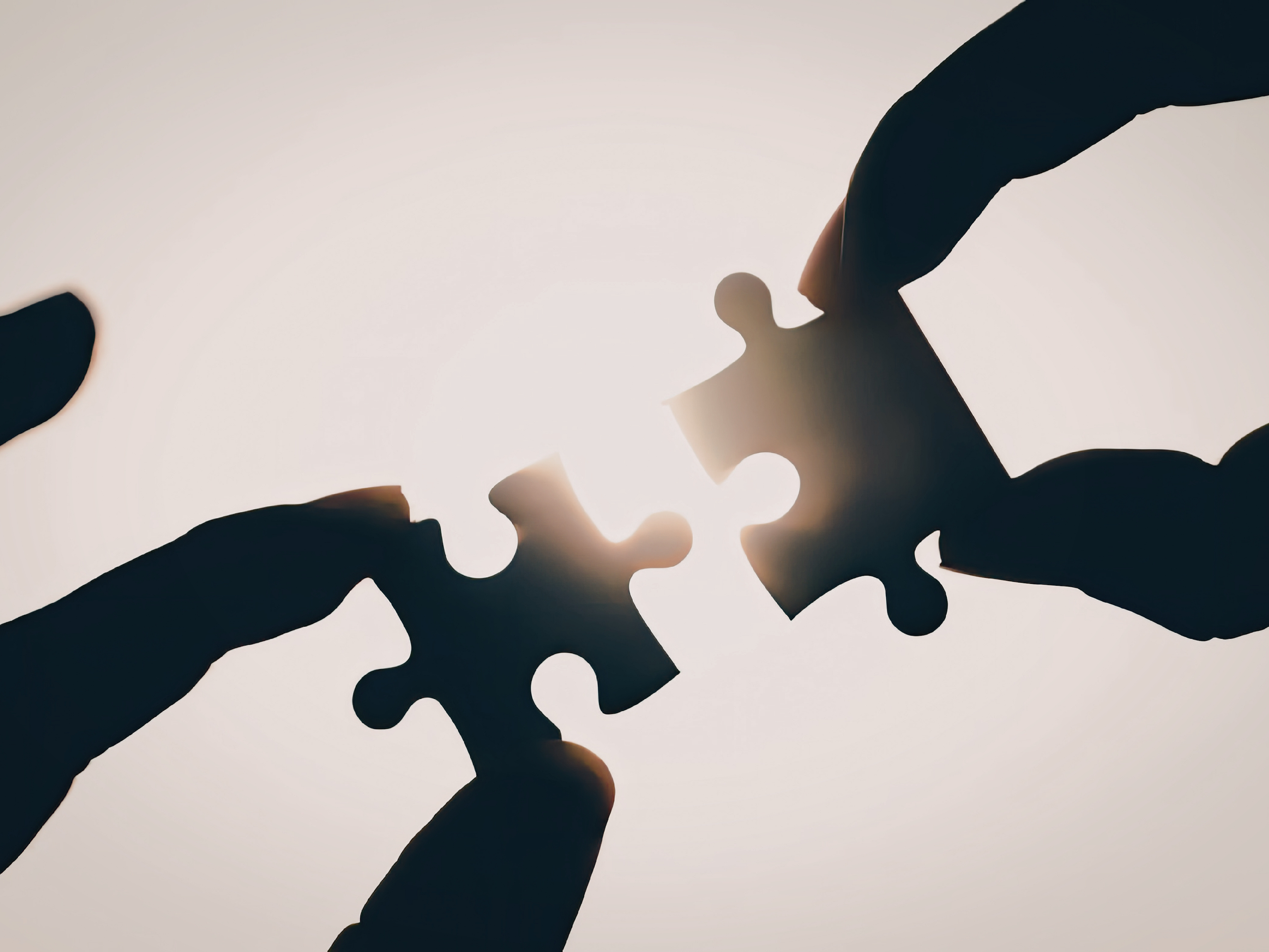 Leadership Multiculturel